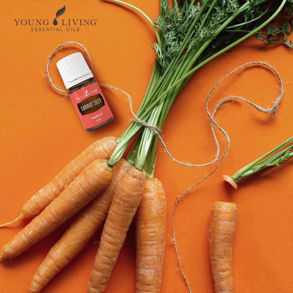 Young Living Carrot Seed essential oil 5ml
